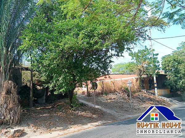 Imagen de LOTE EL MAMONCILLO 